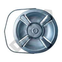 CALENTADOR A GAS GALVANIZADO 3 kg // BC:1