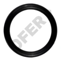 ORING CABEZAL FV X 100U // 4803/69  BC:1