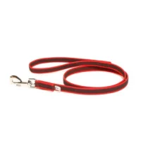 CORREA PERRO PLANA CON COLLAR 2 cm X 1.2 m // BC:1